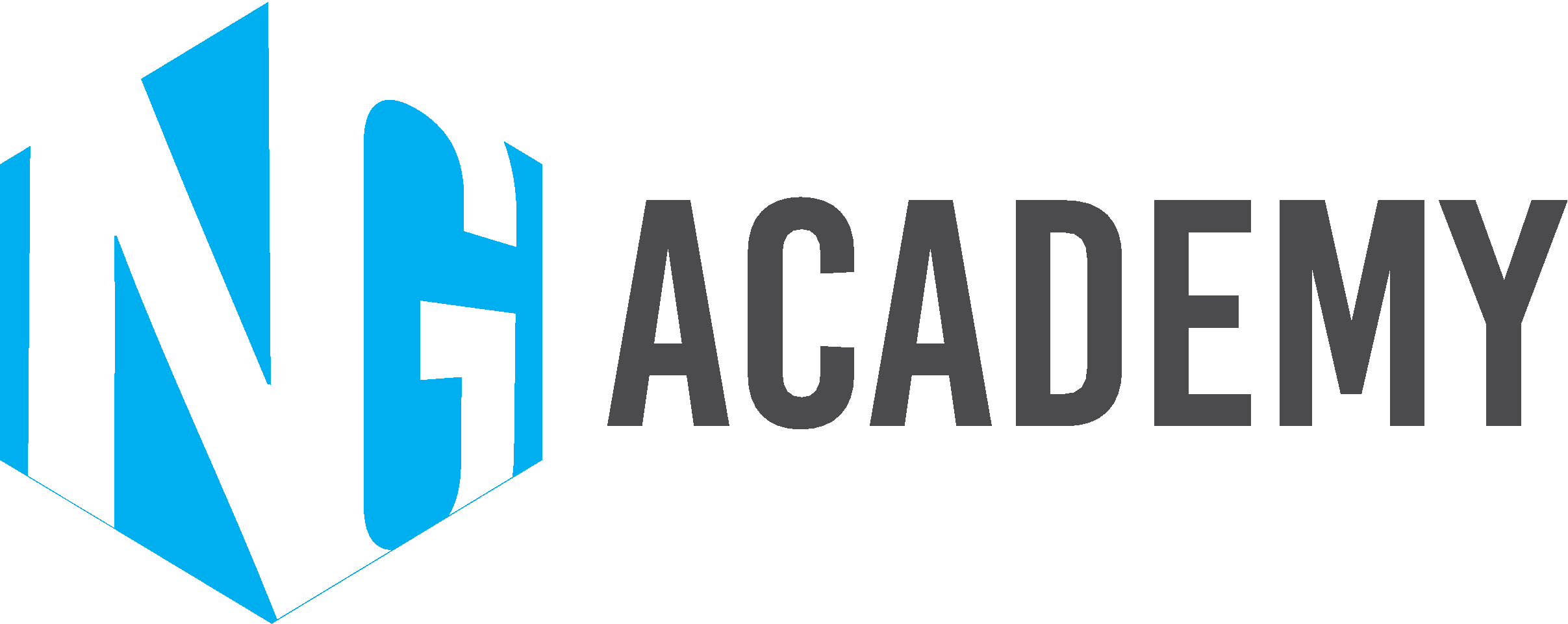 NG Academy